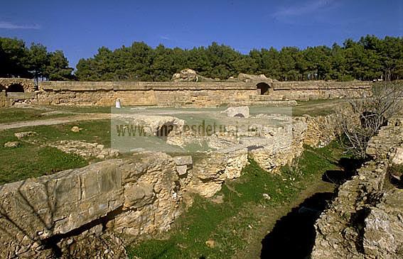 carthage;amphitheatre;antiquit