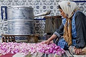 Distillerie fleurs de rose