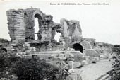 Bulla Regia 1900