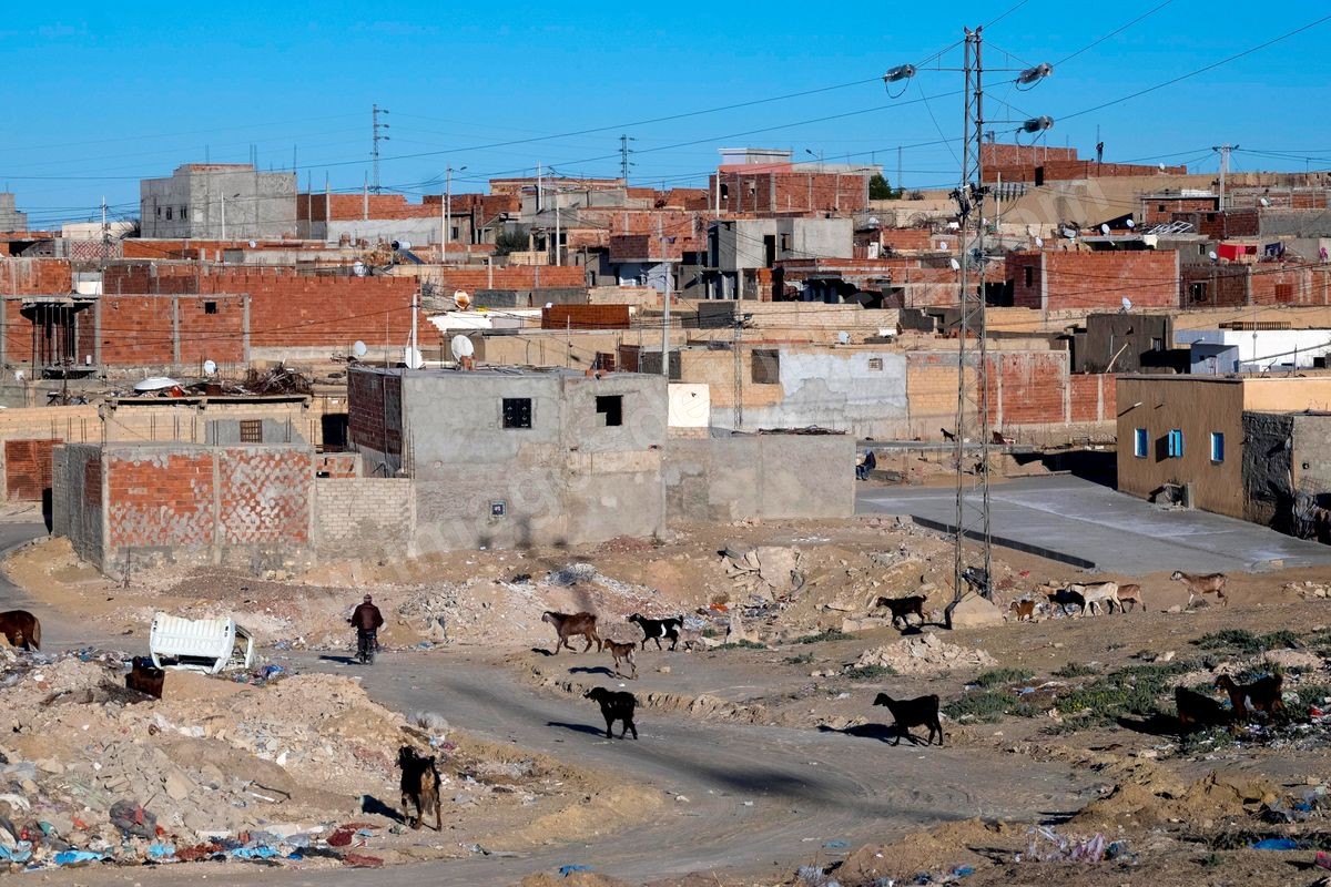 M33-430 Kasserine état des lieux 5 ans après 28012016