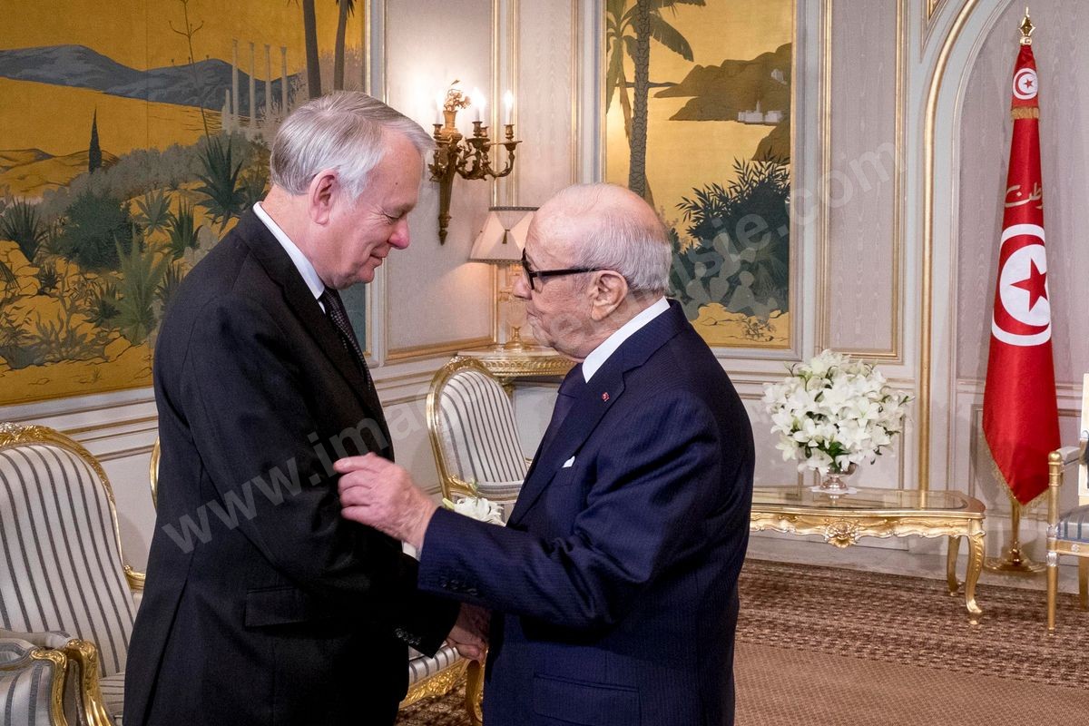 M33-700 Visite Ayrault à Tunis 18032016