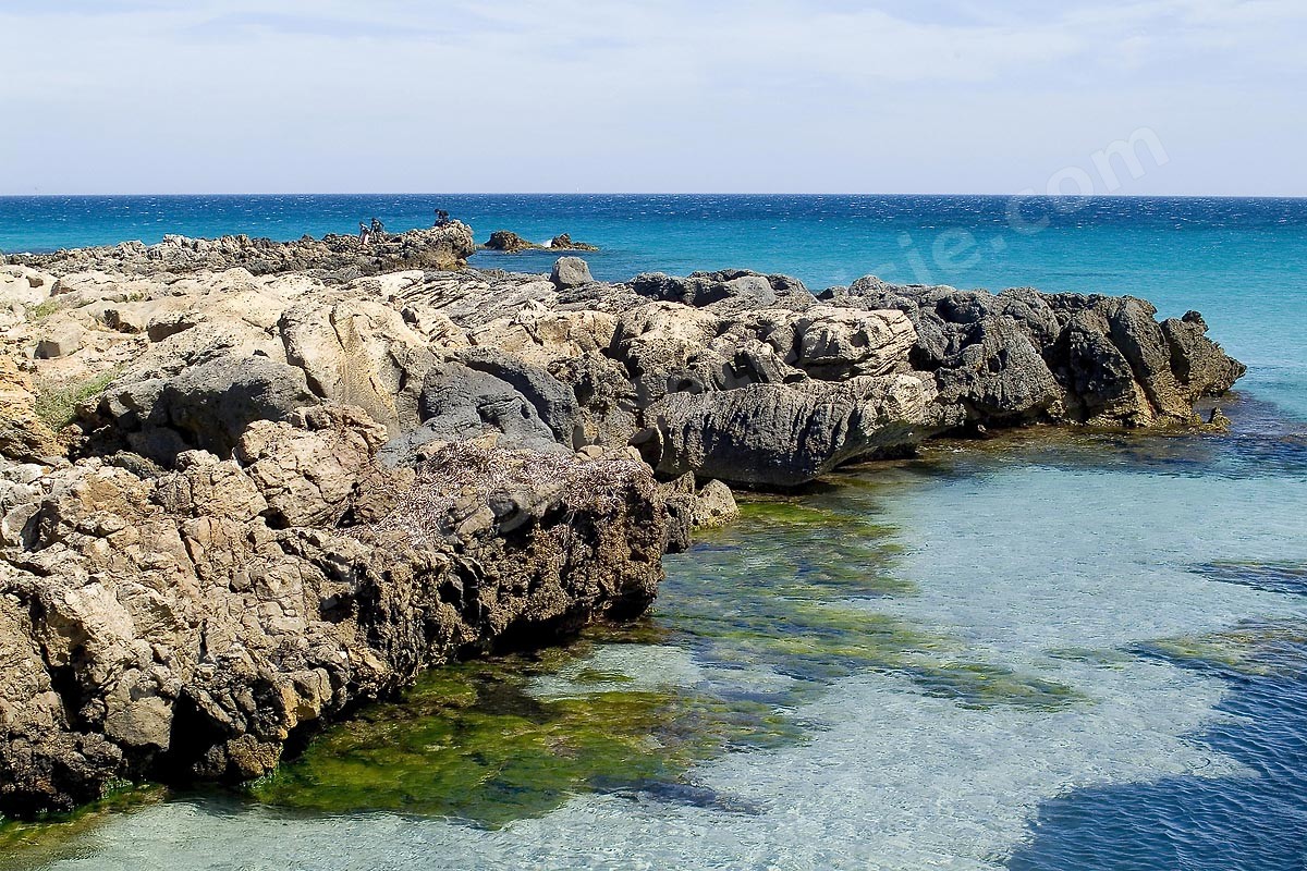 Kelibia